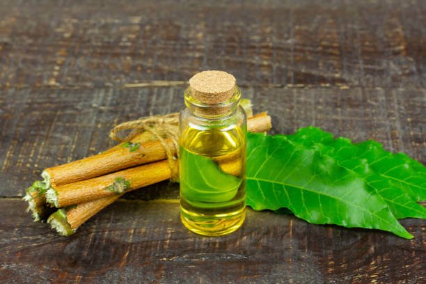 Neem Essential Oil