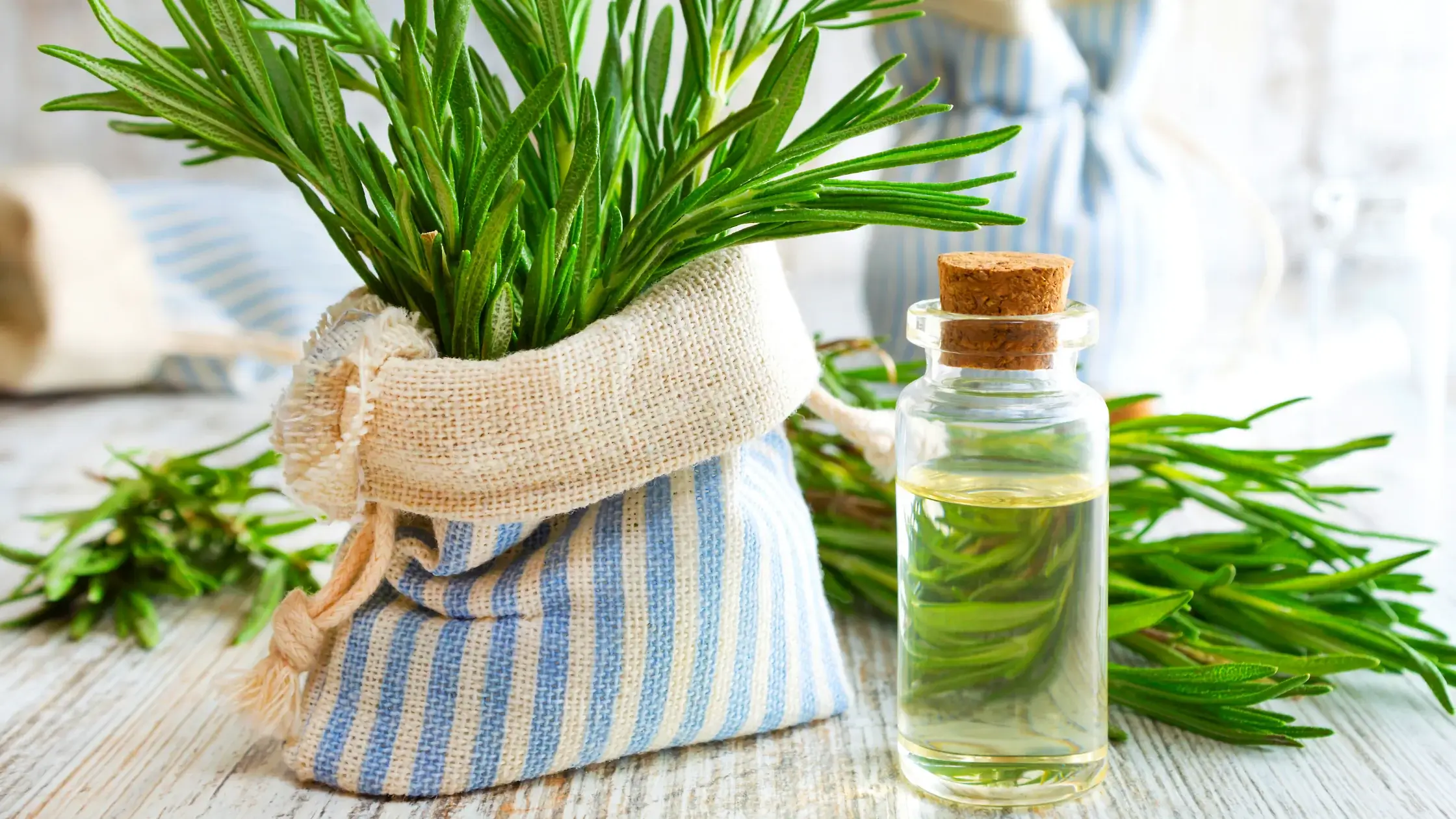 Rosemary Essential Oil