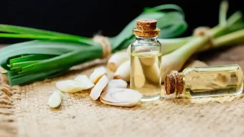 Lemongrass Essential Oil